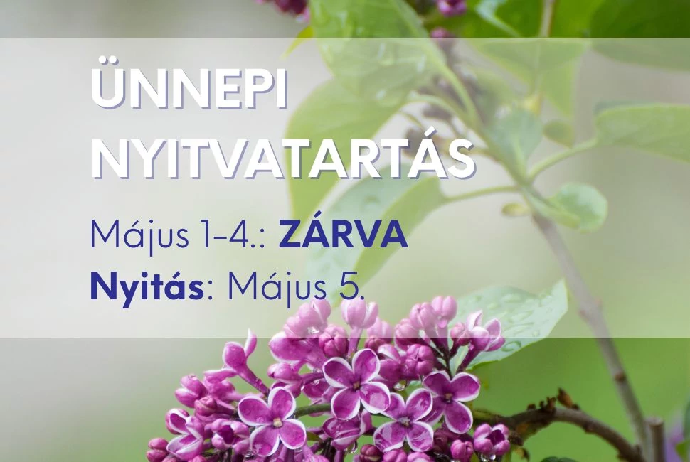 Ünnepi niytvatartás